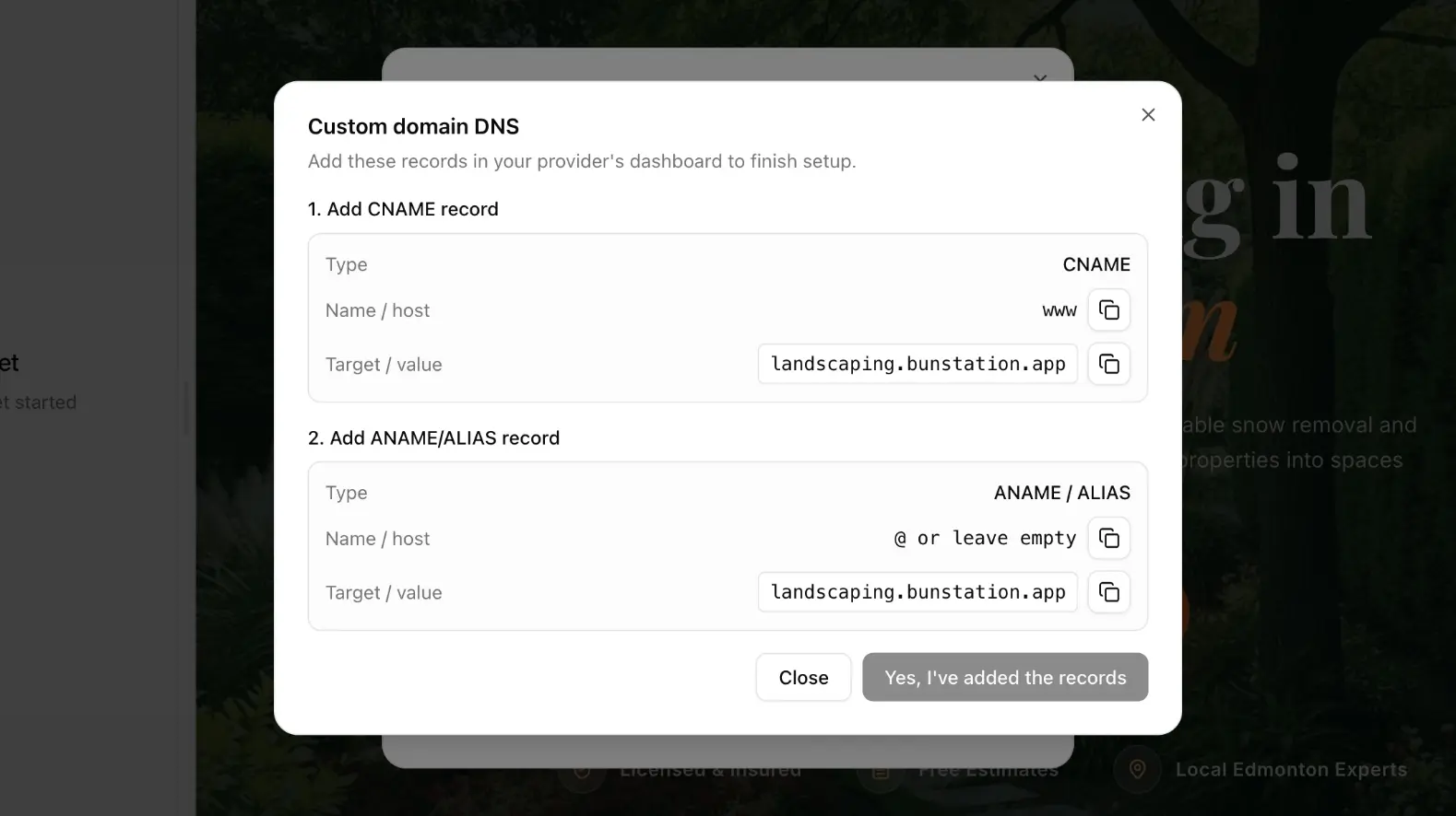 Custom domain DNS dialog with CNAME and ANAME/ALIAS records.